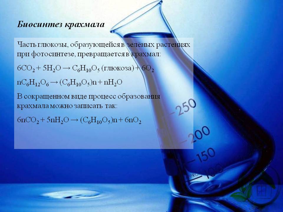 Биосинтез крахмала
