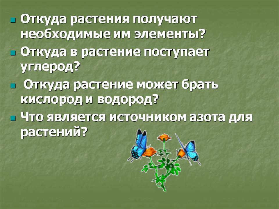 Откуда растения получают необходимые им элементы