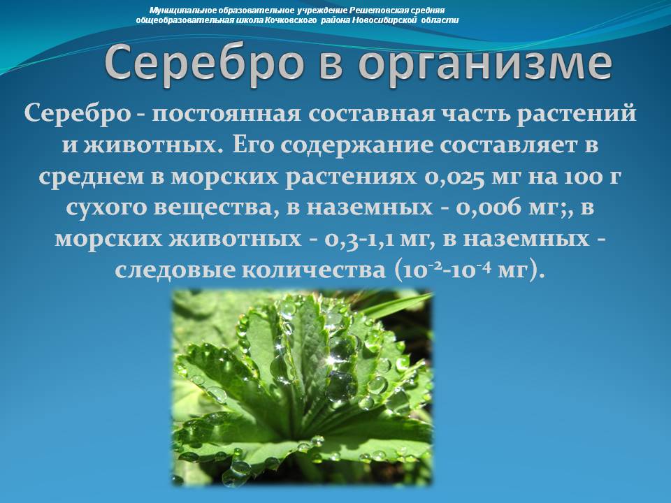 Серебро в организме