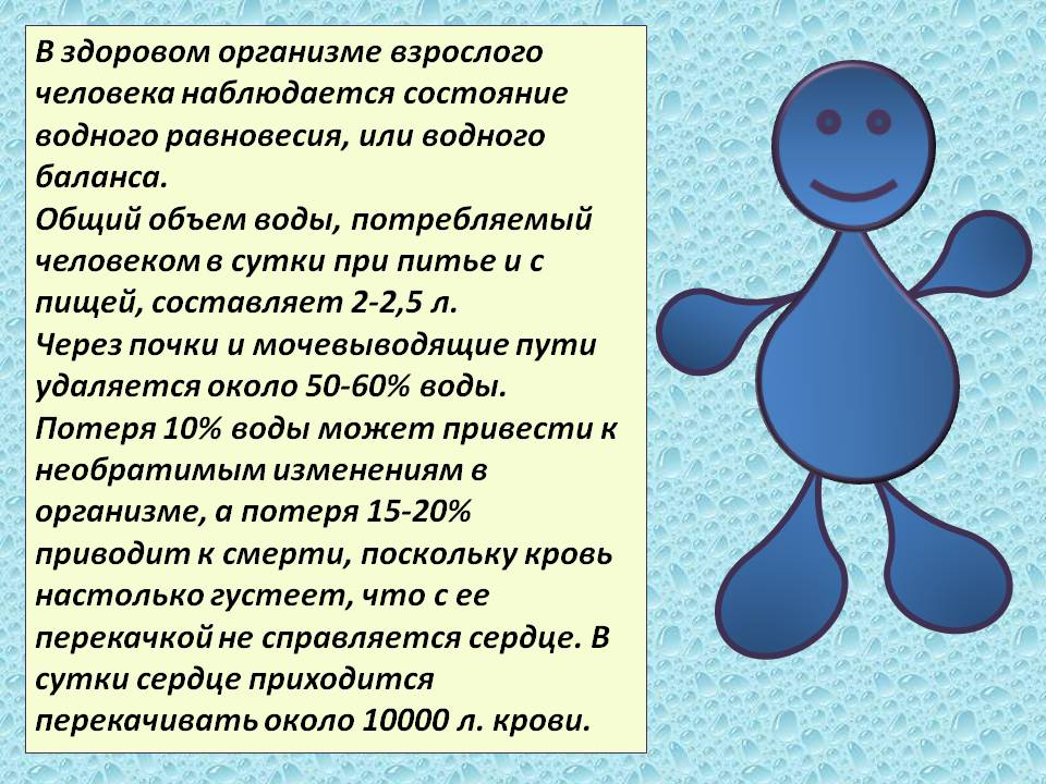 В здоровом организме взрослого человека наблюдается состояние водного