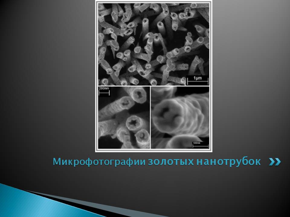 Микрофотографии золотых нанотрубок