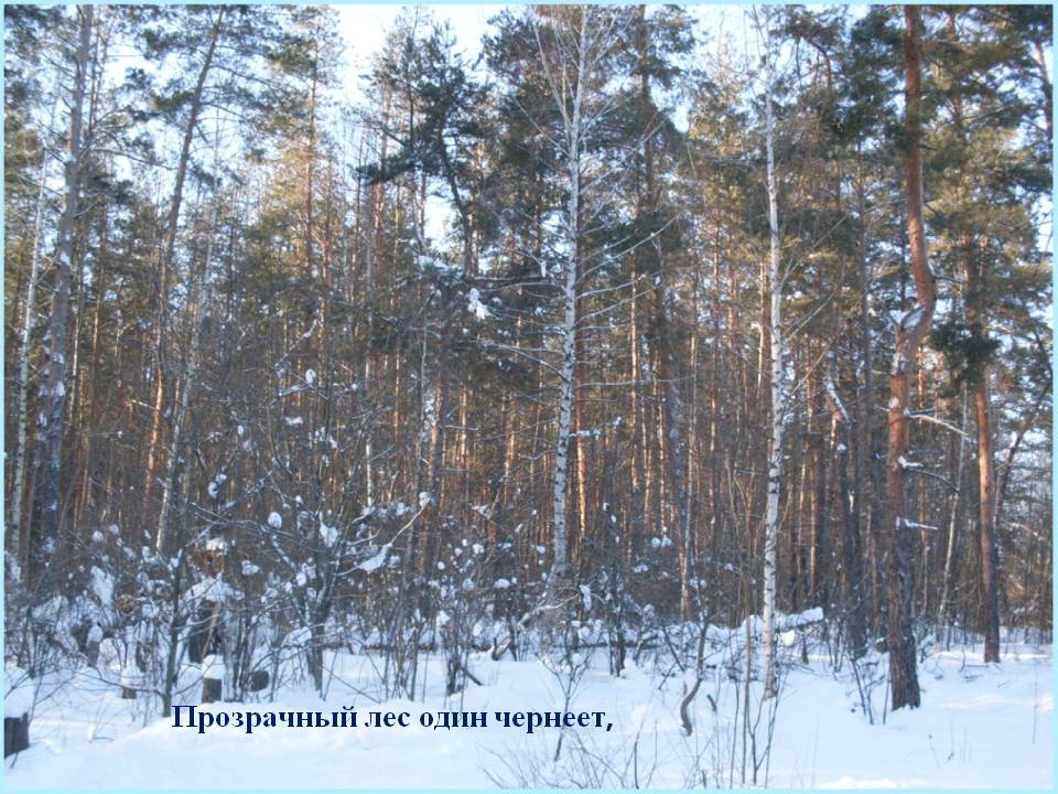 Прозрачный лес один чернеет,
