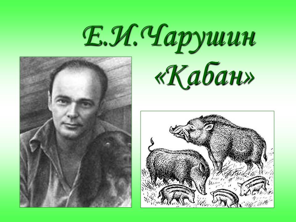 Кабан