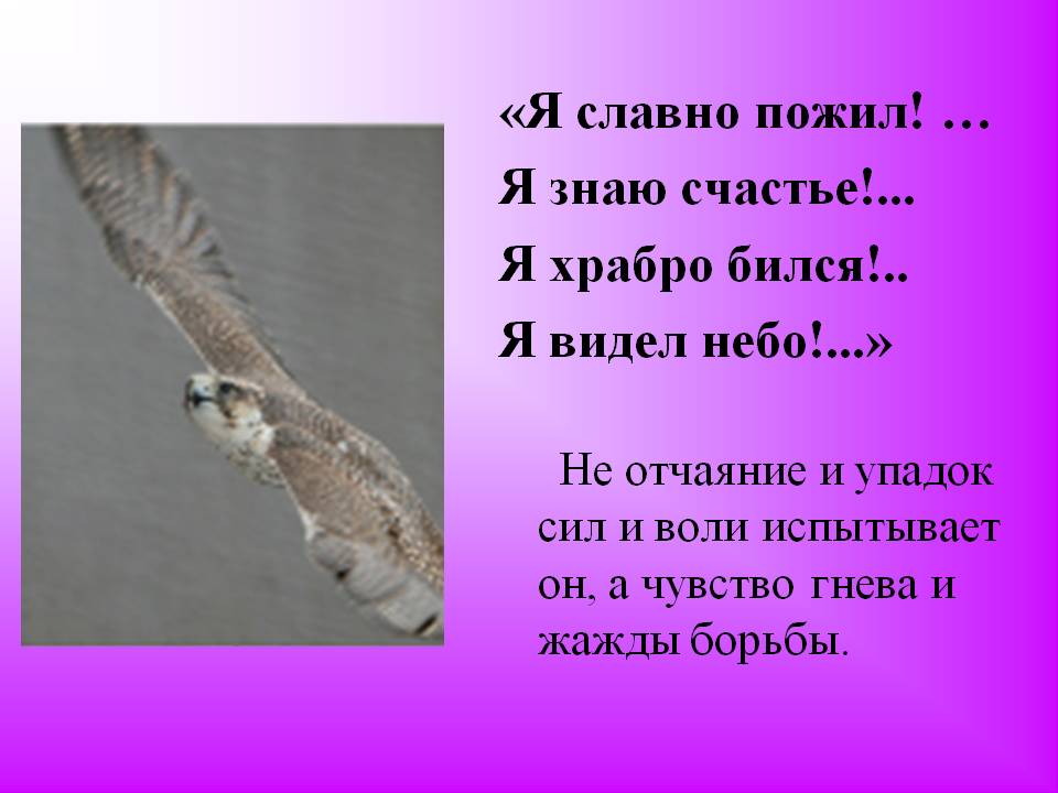Чувство гнева и жажды борьбы