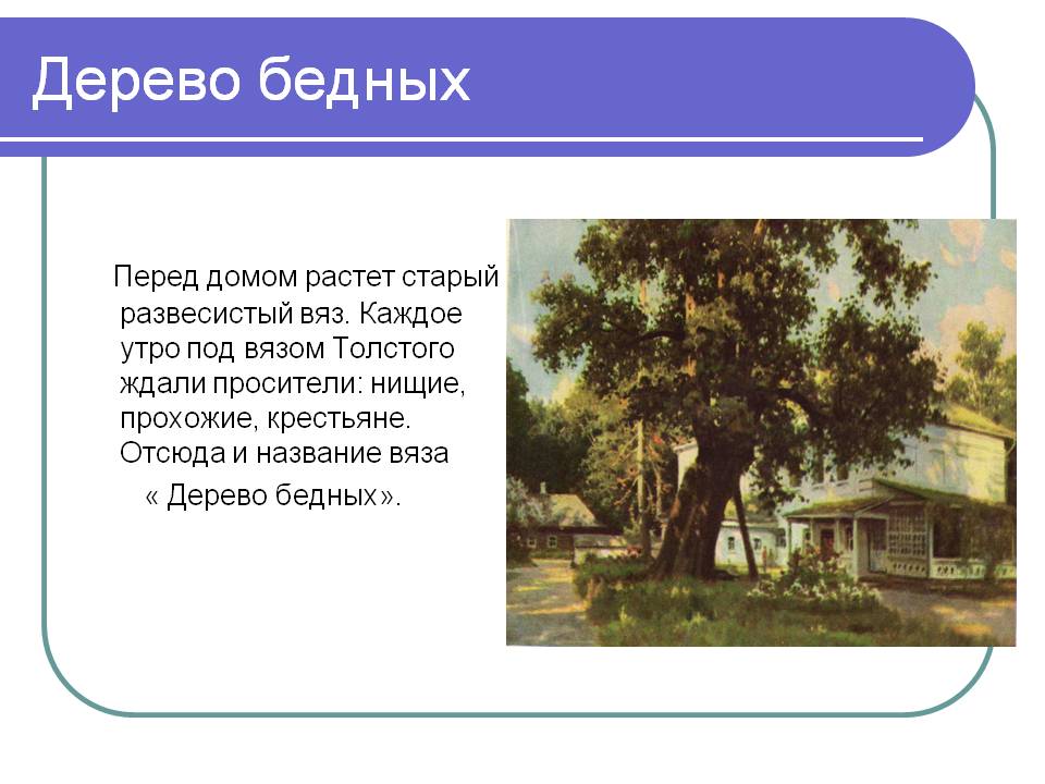 Дерево бедных