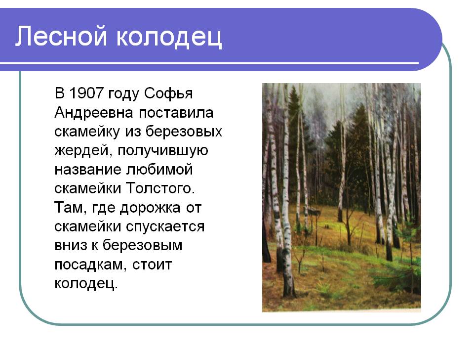 Лесной колодец