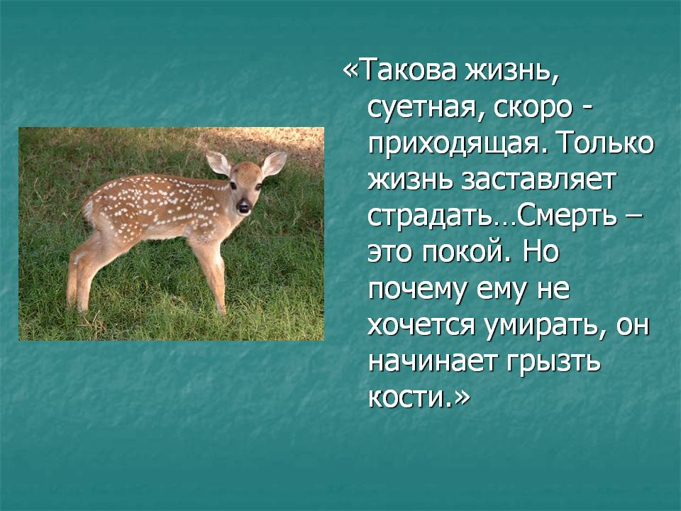 Смерть