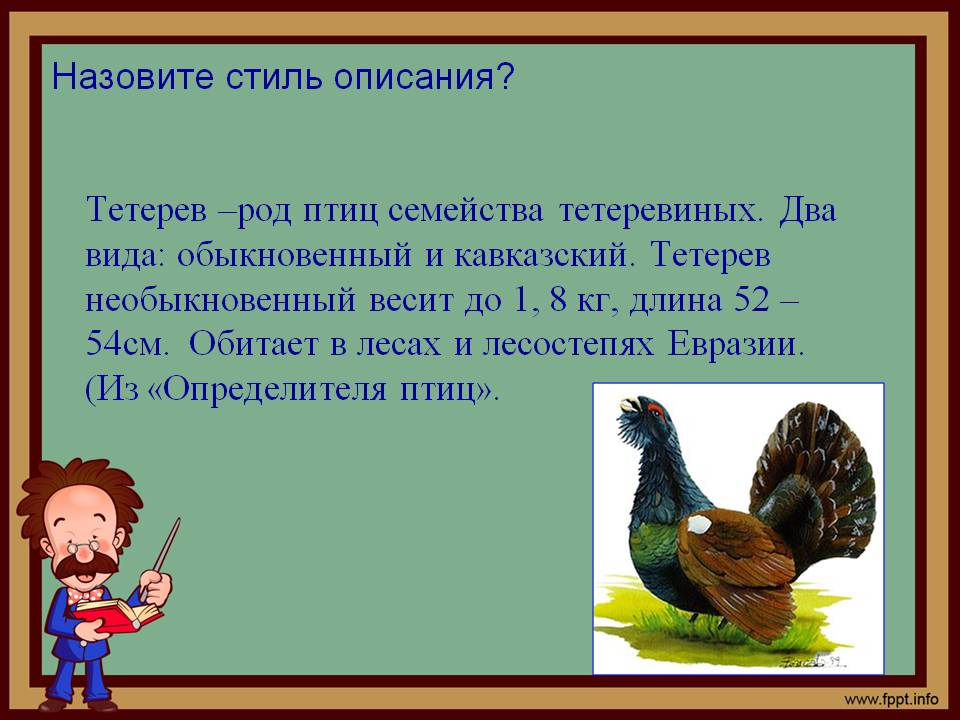 Стиль описания