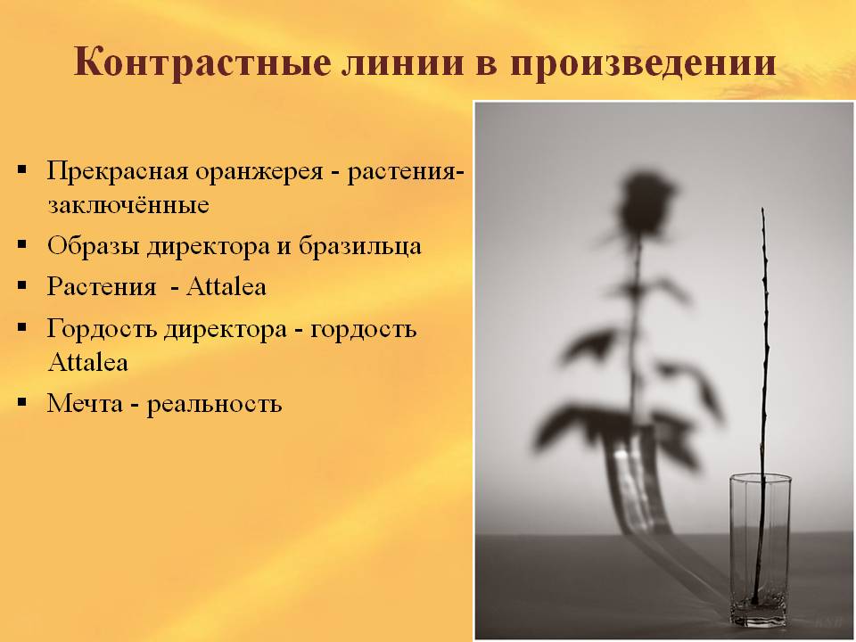Контрастные линии в произведении