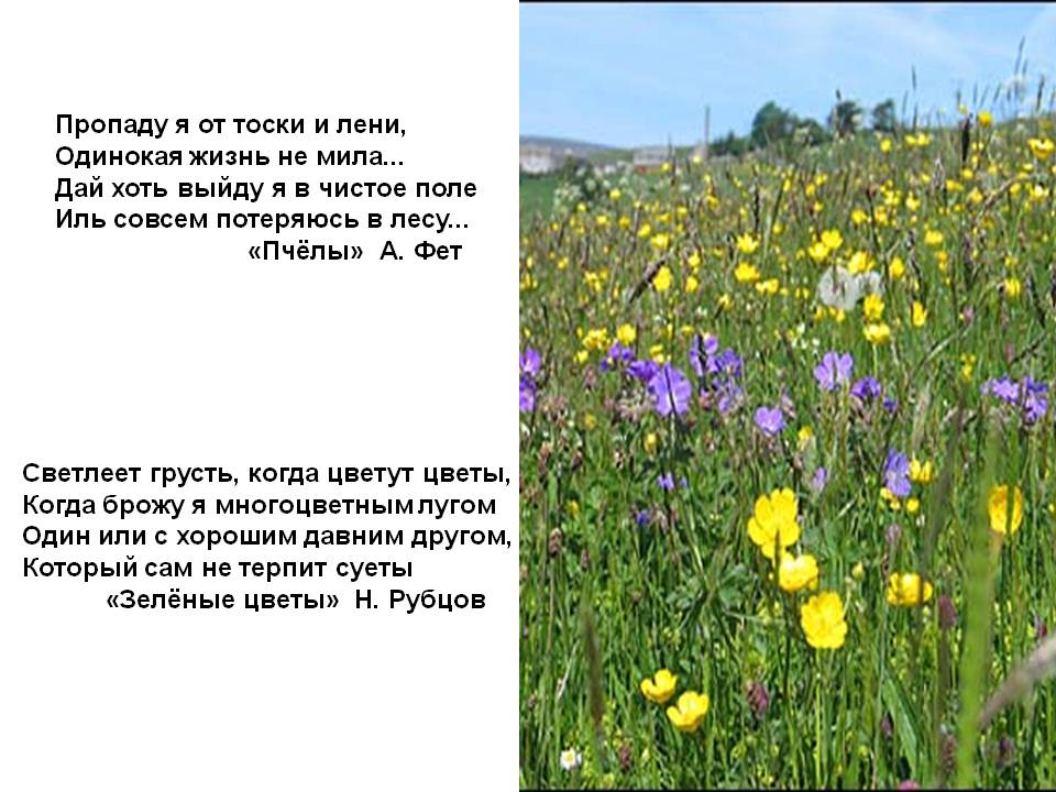 Пропаду я от тоски и лени, Одинокая жизнь не мила