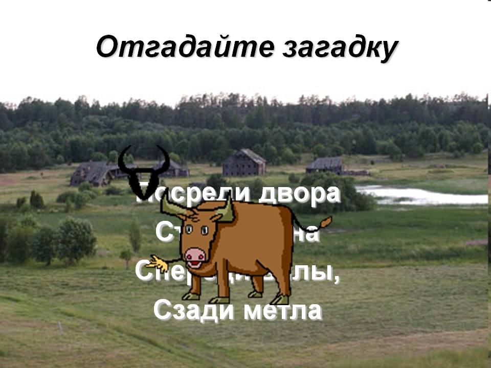 Отгадайте загадку