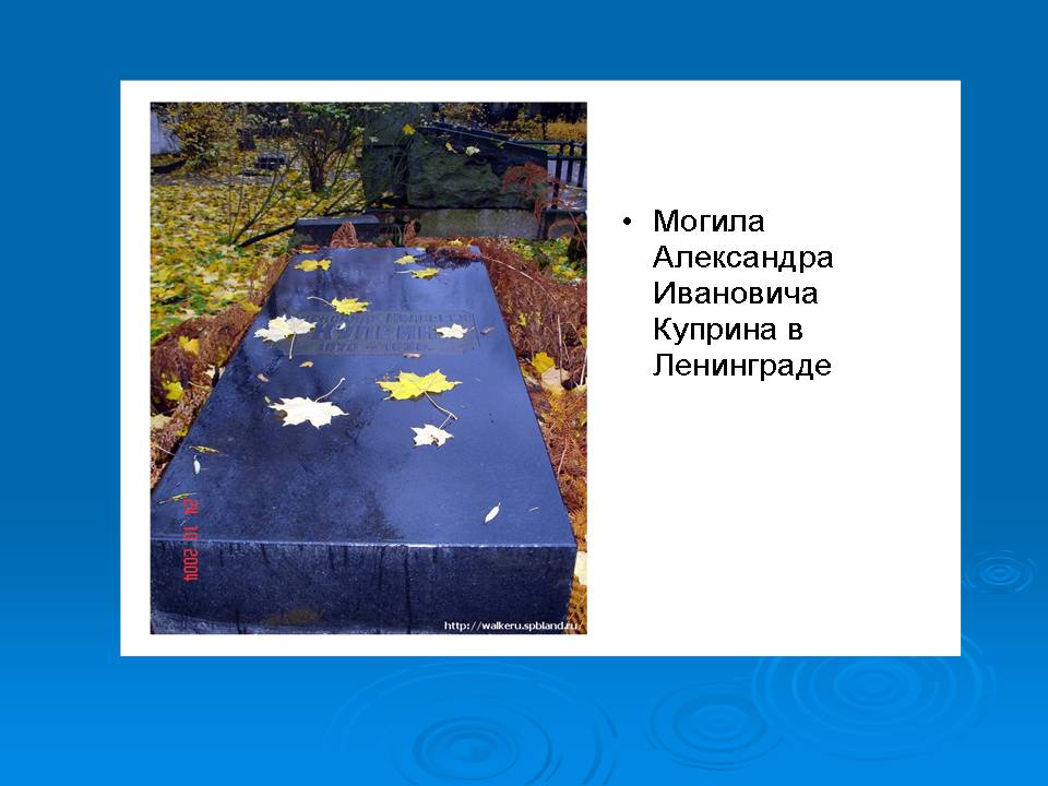 Жизнь и творчество Куприна