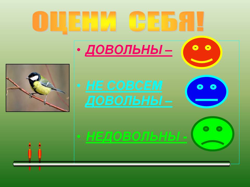 Оцени себя