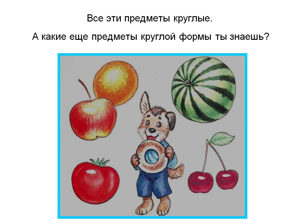 Все эти предметы круглые
