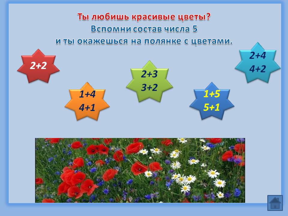 Красивые цветы