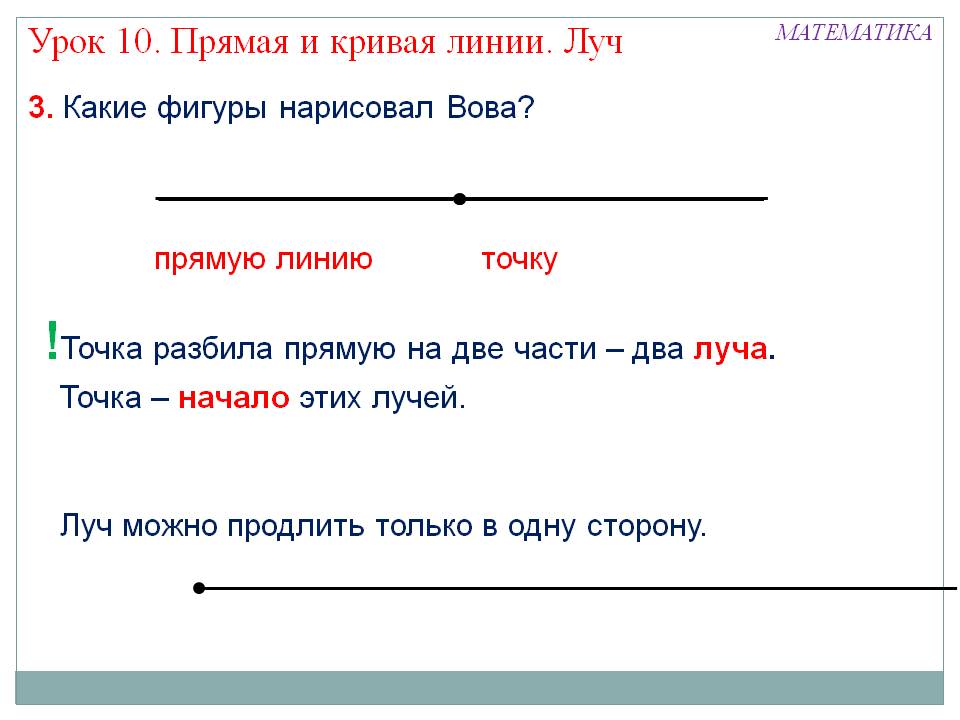 Точка разбила прямую на две части – два луча