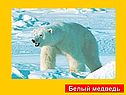 Графическое решение уравнений и неравенств