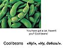 Beans