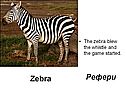 Рефери