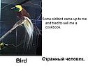 Странный человек