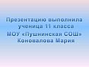 Презентацию выполнила ученица 11 класса МОУ «Пушнинская СОШ»