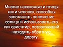 Положение Солнца