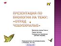 Отряд Чешуекрылые