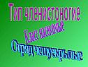 Бабочки по биологии