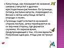 Капустница, как показывает ее название, связана с капустой