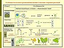 Особенности полового размножения низших и высших споровых растений