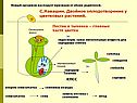 С.Навашин