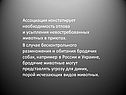 Ассоциация