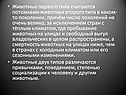 Животные