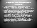 Как решить проблему бездомных животных