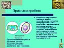Признаки грибов: