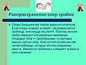 Распространение спор грибов