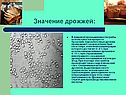Значение дрожжей: