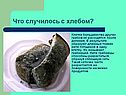 Что случилось с хлебом
