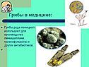 Грибы в медицине: