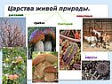 Царства живой природы