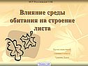 Влияние среды обитания на строение листа
