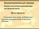 Основополагающий вопрос
