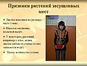 Признаки растений засушливых мест