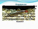 Кардинал