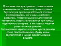 Появление панциря привело к значительным изменениям в строении