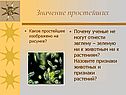 Значение простейших