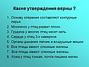 Какие утверждения верны 