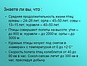 Знаете ли вы, что :