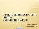 Урок «Внешнее строение листа» / биология 6 класс/