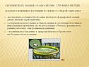 Сформировать знания о разнообразии строения листьев покрытосеменных